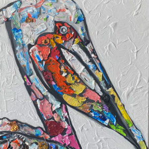 Rainbow Pelican