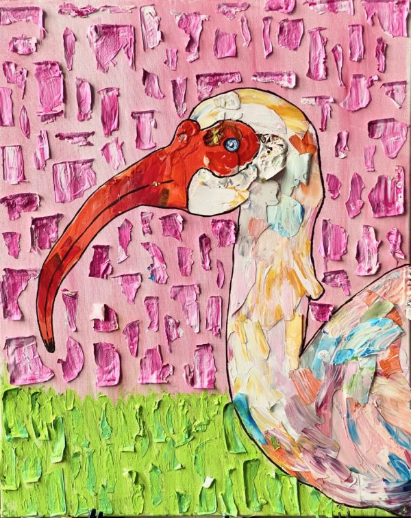Ibis